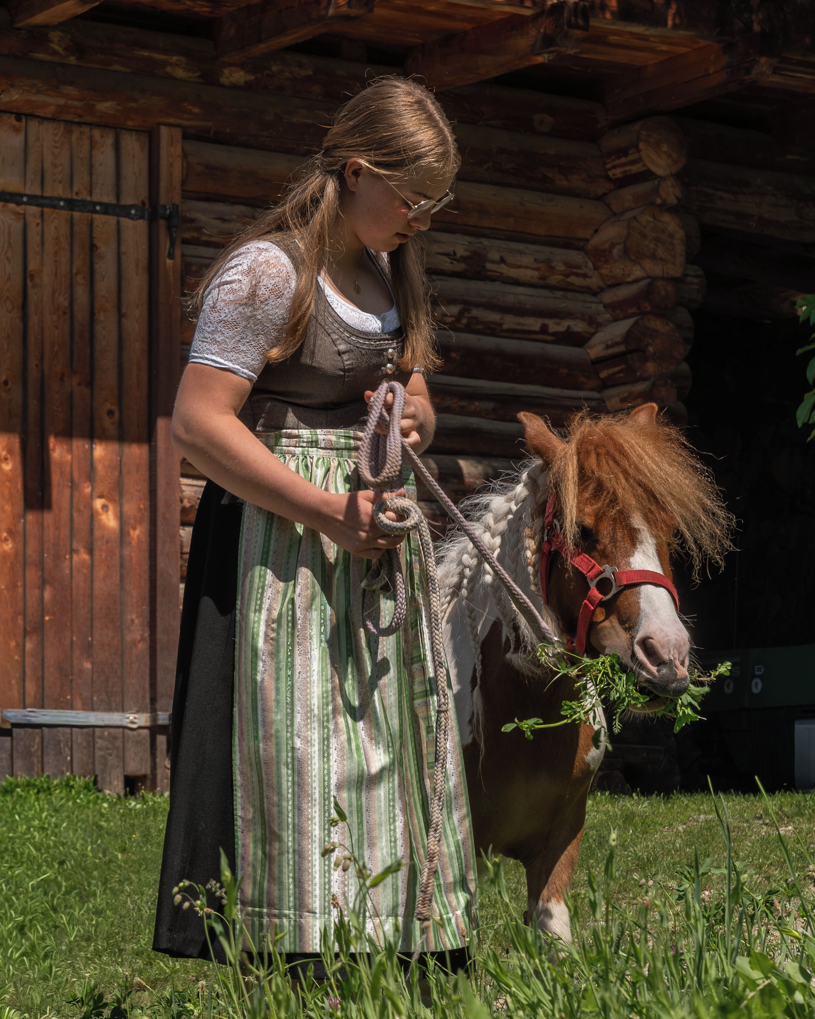 Eine Person führt ein Pferd durch eine Wiese, im Hintergrund ein Holzbau.