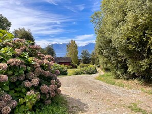 Huis | 5 slaapkamers