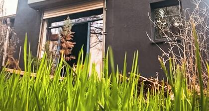 Familien Suite in Elbflorenz