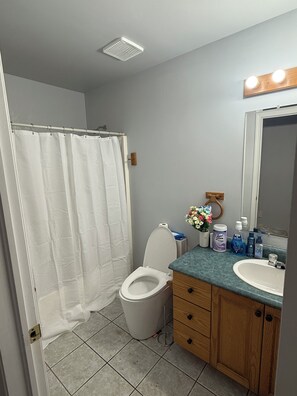 Secador de pelo, bidet, toallas, jabón