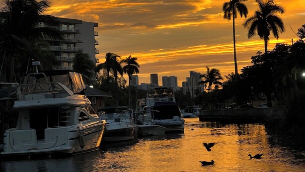 A marina with boats docked, palm trees, and a city skyline in the background. - Welcome to Your floating home-away-from-home: Calm, Cozy, and Unforgettable (Miami)