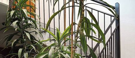 Room, 1 Bedroom, Smoking, Garden View | Property grounds