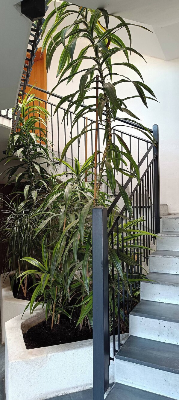 Habitación, 1 habitación, para fumadores, vista al jardín | Áreas de la propiedad