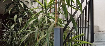 Room-cozy Room in Nagold With Private Fa