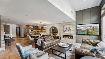 TV connectée, cheminée, chaßne hi-fi