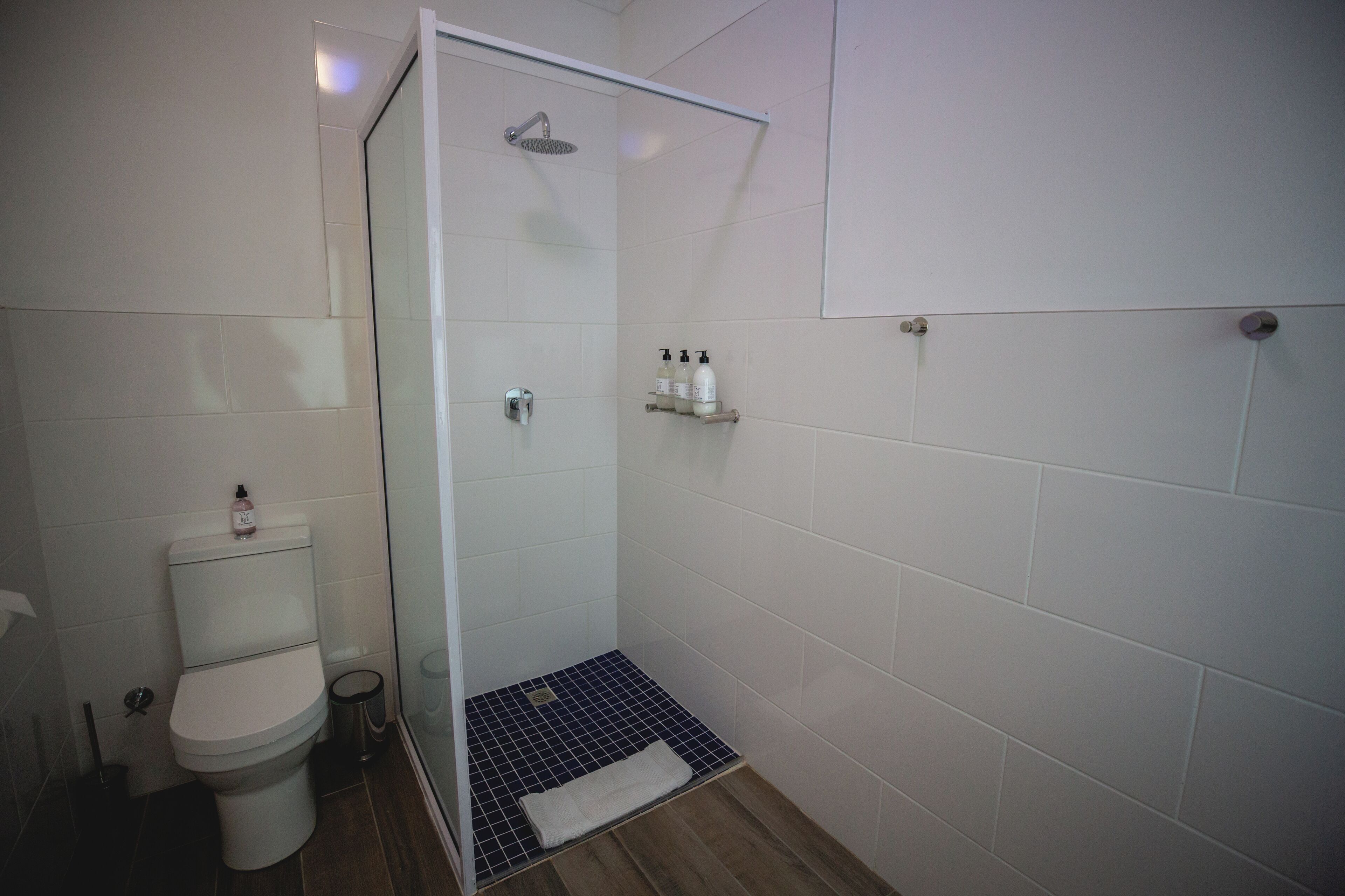 A bathroom with a toilet, a shower with a glass door, and a shelf with toiletries.
