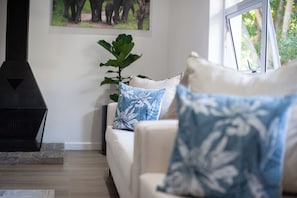 Smart TV, Netflix, streaming services