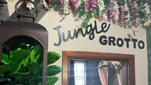 Une pièce avec une grande plante en pot, une fenêtre encadrée et un mur sur lequel est écrit « Jungle Grotto ».