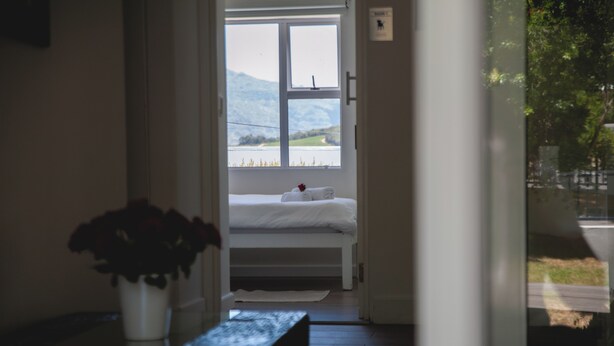 Een slaapkamer met een bed, een raam en een plant.