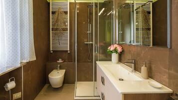 Shower, hair dryer, bidet, towels