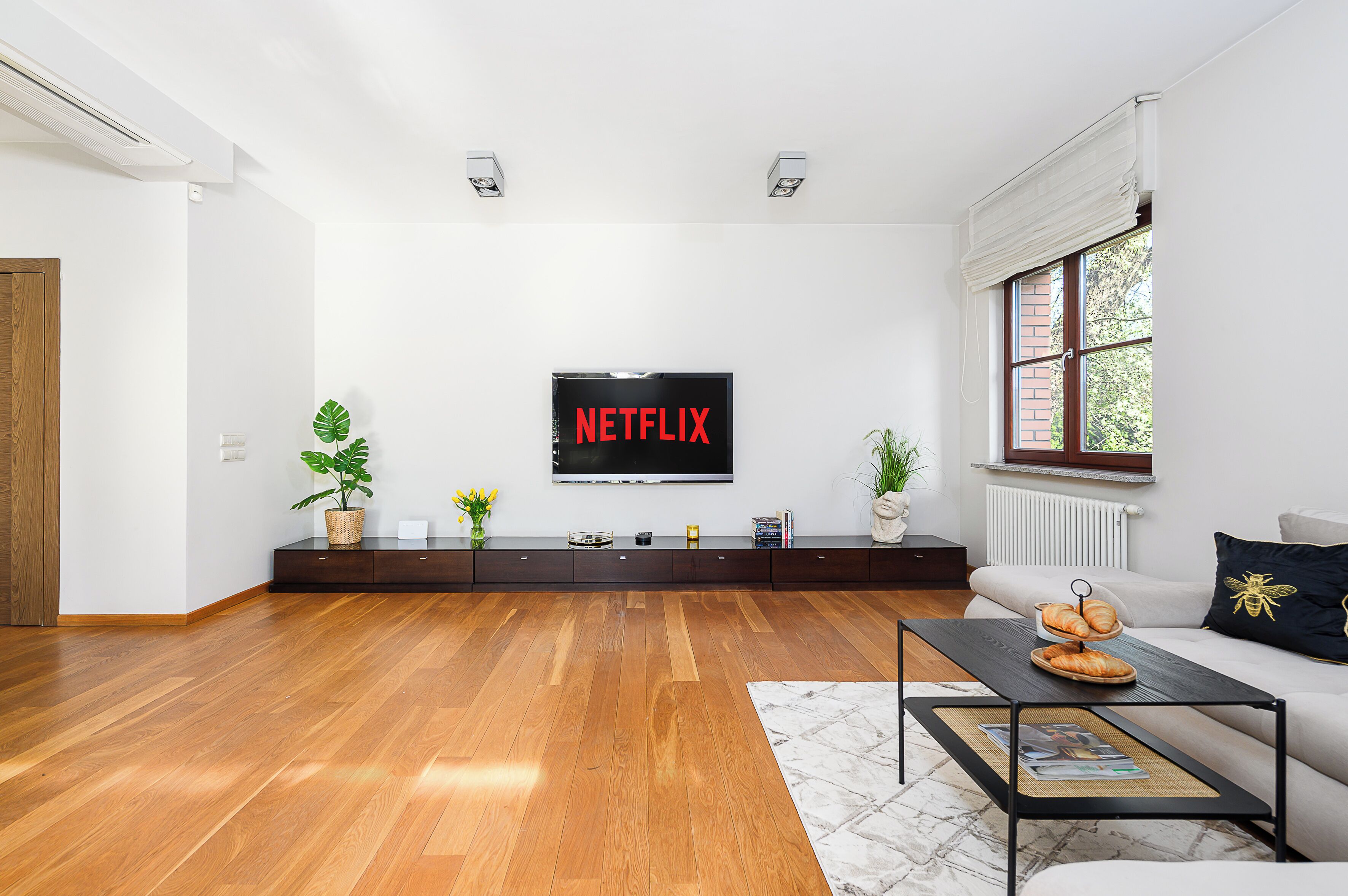 Comfort Apartment, City View | Living area | 40-inch flat-screen TV with cable channels