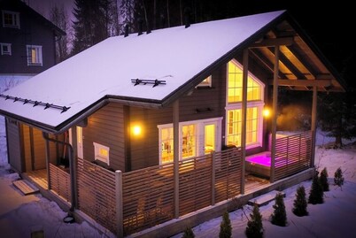Villa Huvilla, Himos Areenan alue