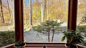 A window with a view of a forest and a gravel path.