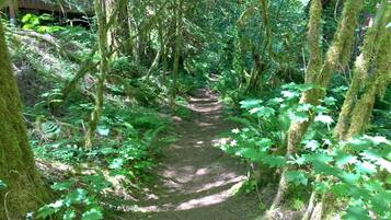 Cabin, 3 Bedrooms, Balcony | Garden