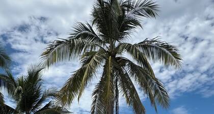 Tropical Perfection, Includes Kayak, Snorkel, Beach Gear, 6Min Walk To The Beach