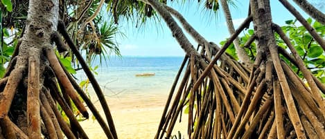Vista a la playa o al mar