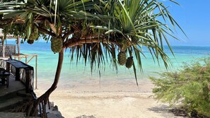 Vue sur la plage/l’océan
