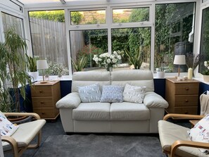 Smart TV, lareira, videogames, DVD player