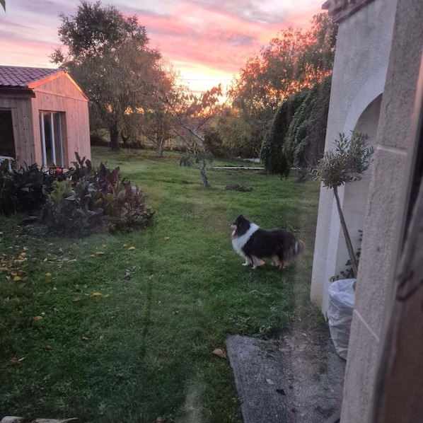 Extérieur