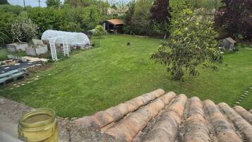 Regadera, amenidades de baño gratuitas, secadora de cabello, toallas