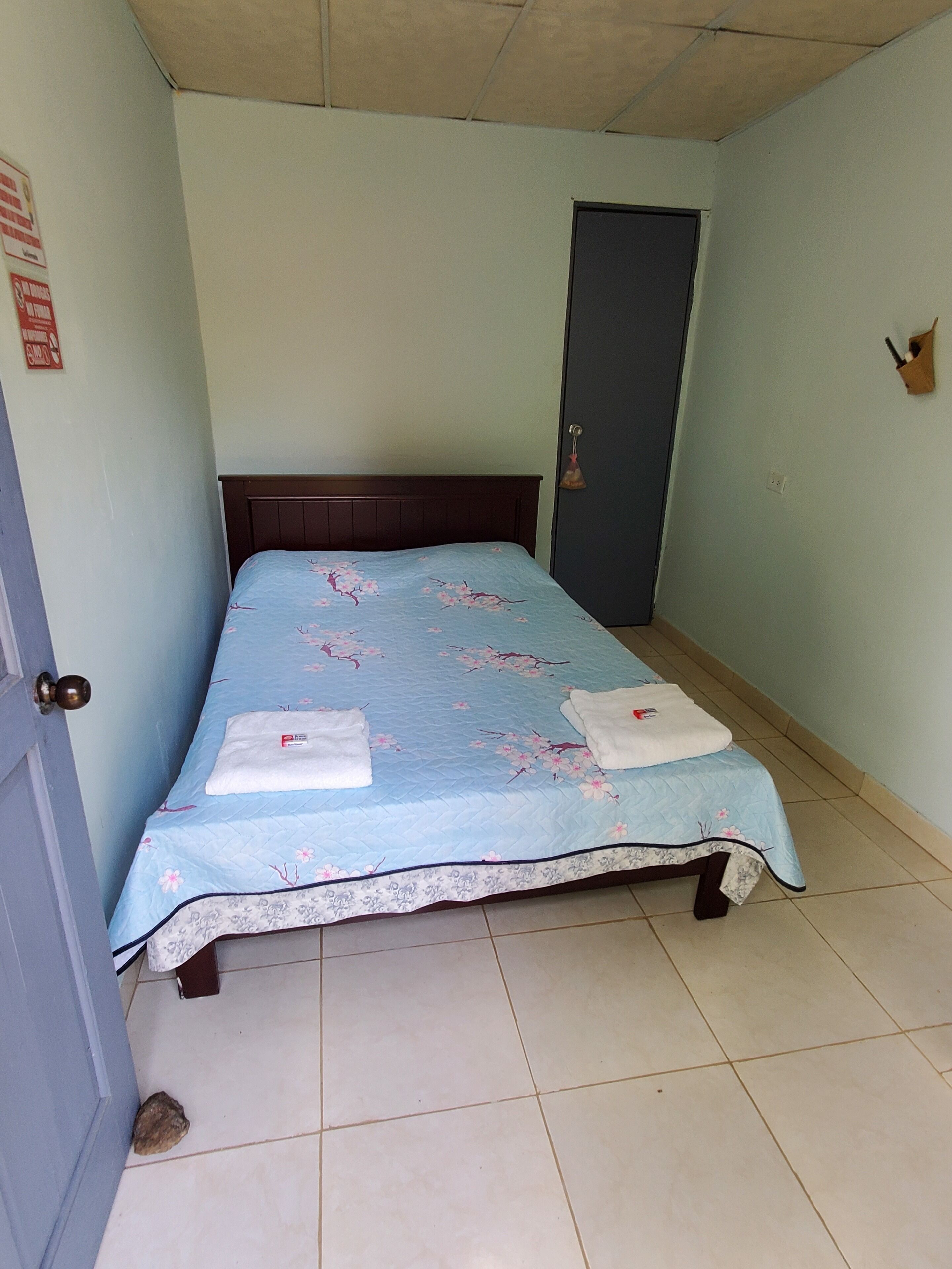 Basic Room | Bathroom | Shower, towels, soap, toilet paper