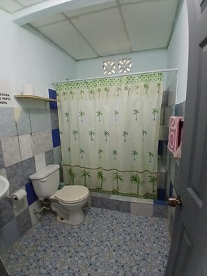 Kamar Keluarga | Kamar mandi | Shower, handuk, sabun, dan tisu toilet