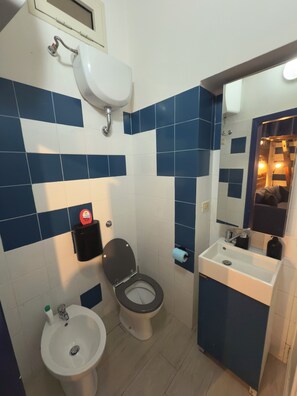 Shower, hair dryer, bidet, towels