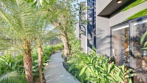 Un sendero bordeado por vegetación exuberante y arquitectura moderna.