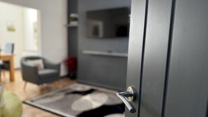 A modern interior with a grey door, a flat-screen TV mounted on a wall, and a patterned rug on the floor.