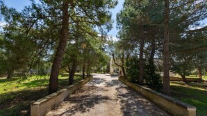 Un sendero de grava bordeado por árboles en un parque.