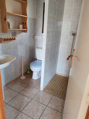 淋浴设施、毛巾、卫生纸