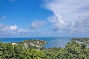 A coastal landscape with a view of the sea, a small island, and dense greenery in the foreground. - Villa LALALAND  (Le François)