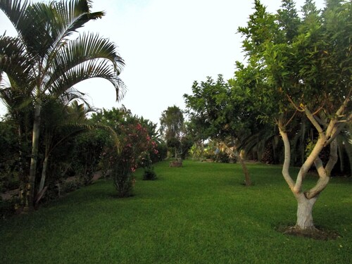 Snug Bungalow | 4 people | Pool | SuperHost