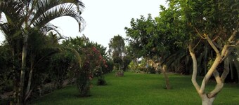 Snug Bungalow | 4 people | Pool | SuperHost