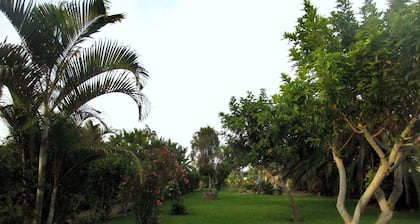 Snug Bungalow | 4 people | Pool | SuperHost