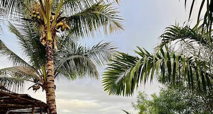 Zen Heights | Tranquil Luxury Above the Trees.