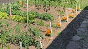 Een tuin met verhoogde borders, een houten hek en een witte stoel.