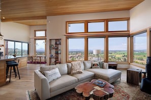 Smart TV, fireplace, DVD player, books