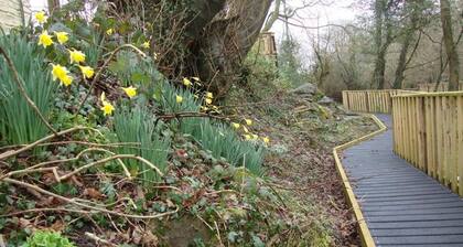 3 bed Detached Sound Healing Retreat Bungalow