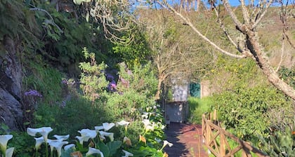 La Casita de Lucho