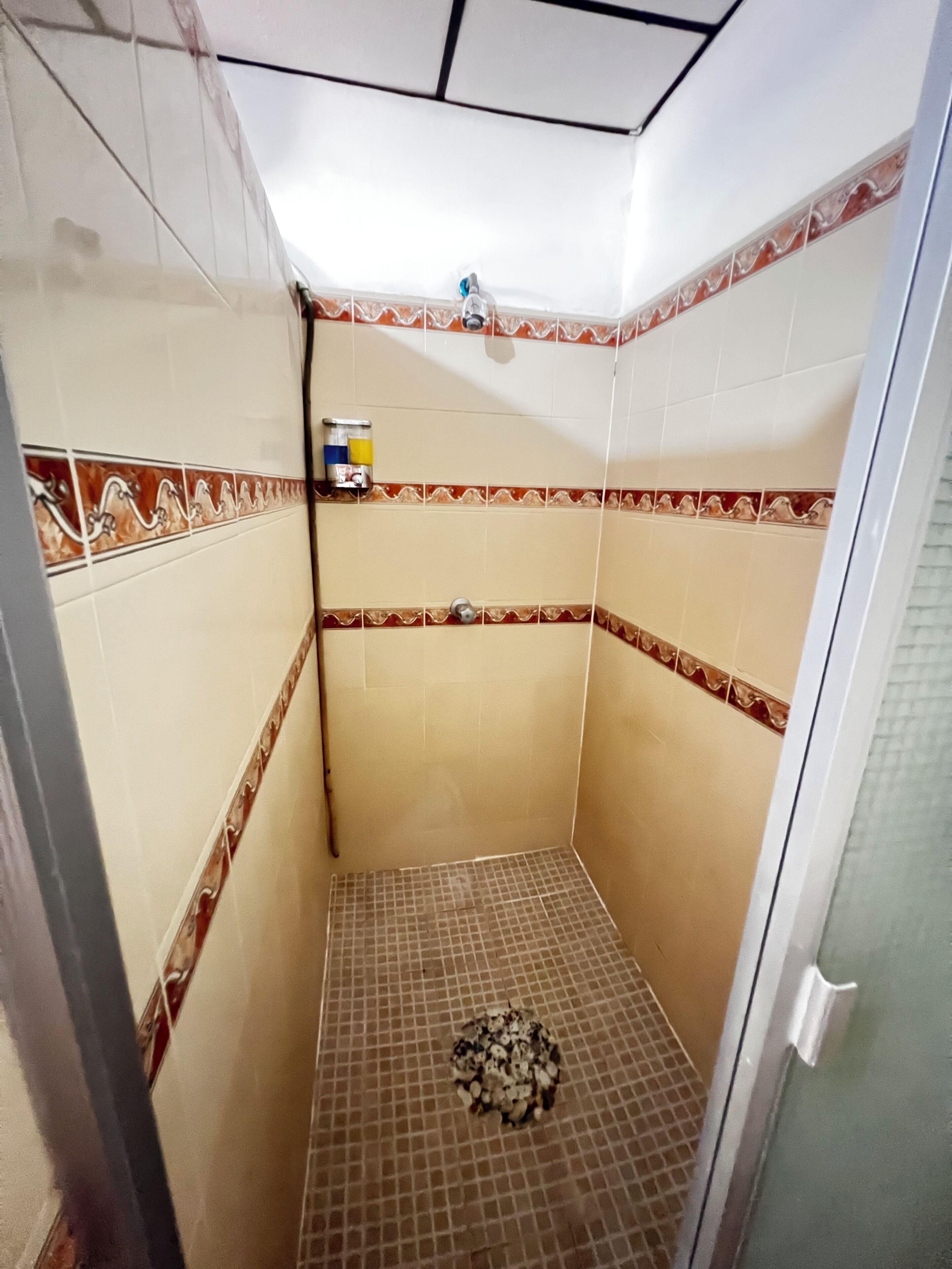 Bidet, towels, soap, shampoo