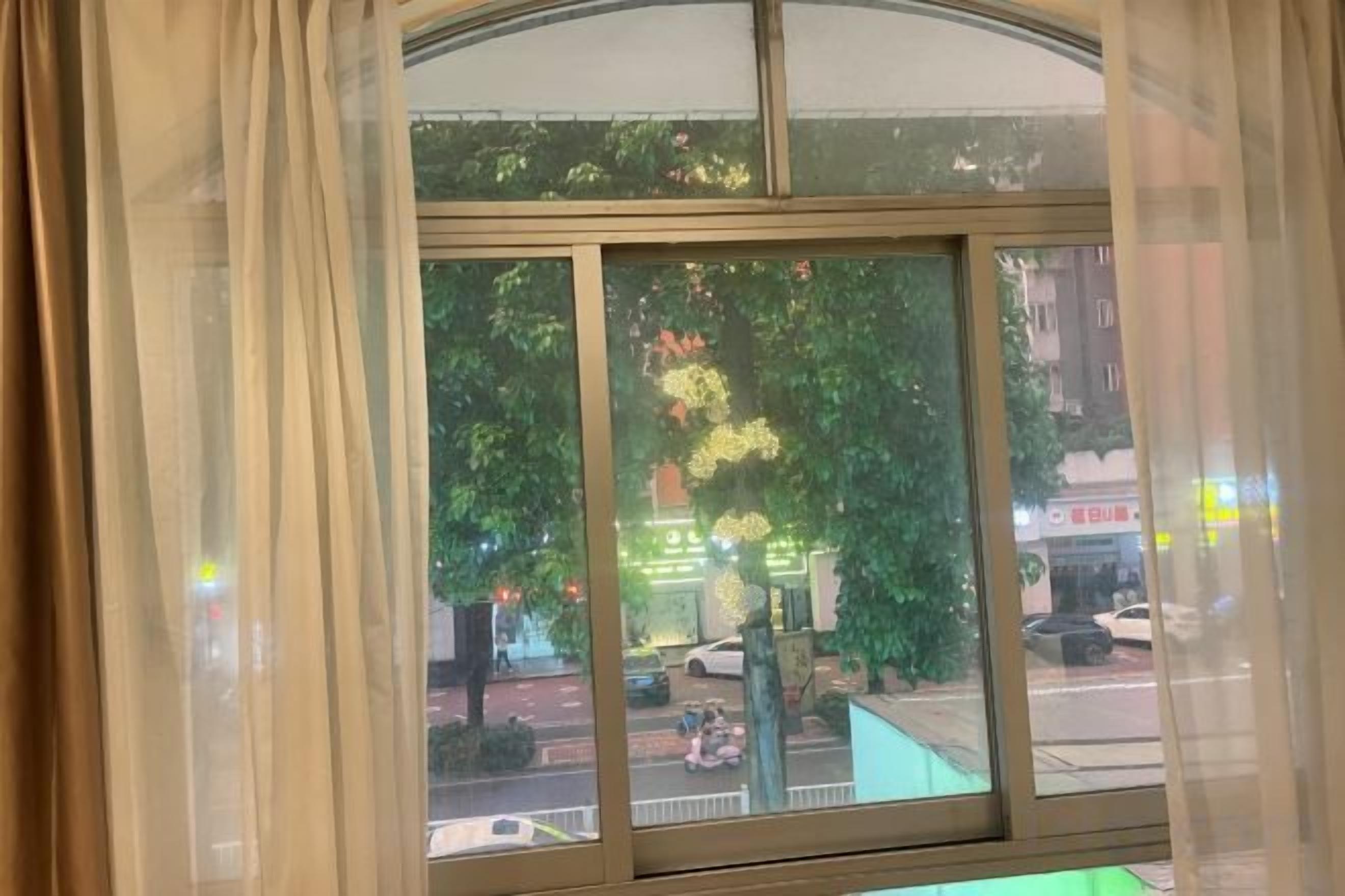 A window with a view of a street scene, including trees and buildings.