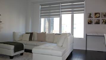 Smart TV, books, computer monitors