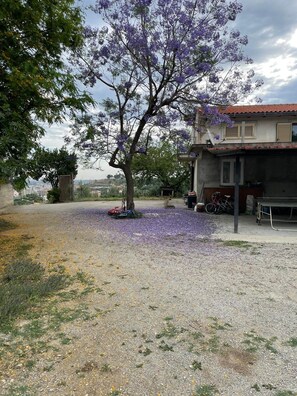 Terrain de l’hébergement 