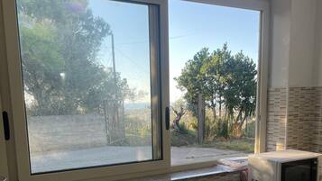 Microwave, oven, stovetop, coffee/tea maker