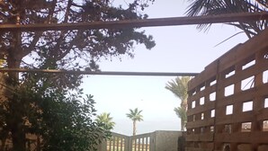 A paved courtyard with a wooden gate, surrounded by foliage and a palm tree. - Waterfront duplex with sea view EXTRAORDINARY (Monastir)
