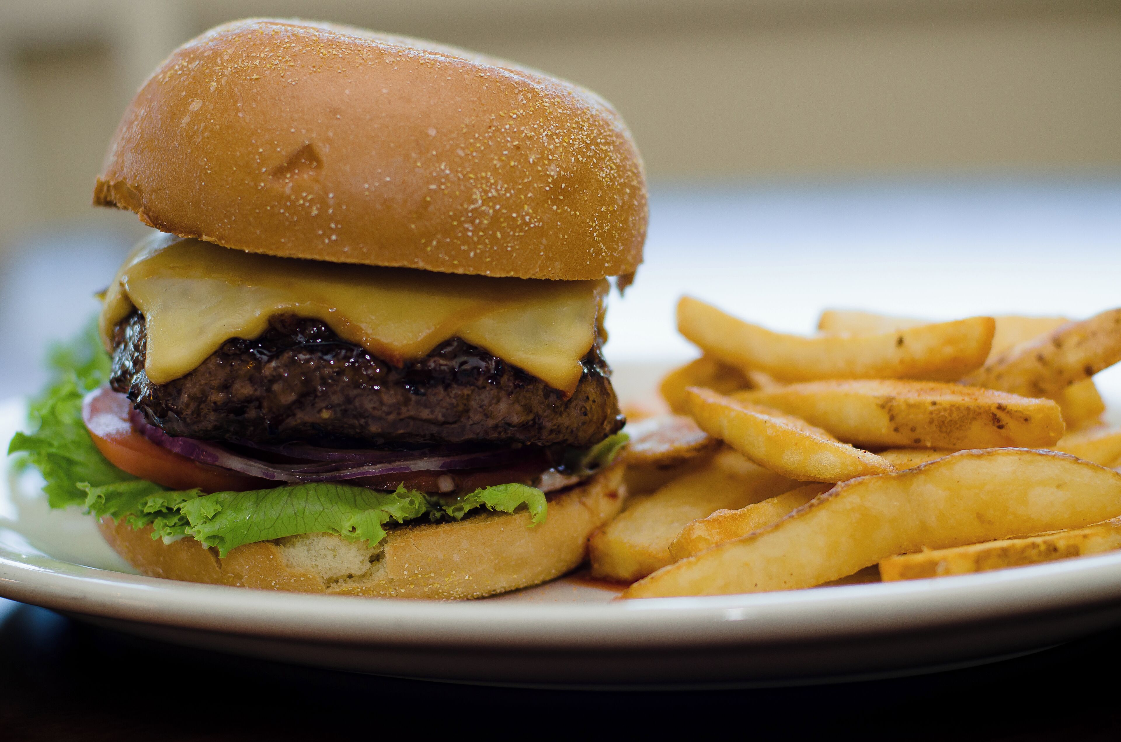 Un hamburger con patatine fritte su un piatto.