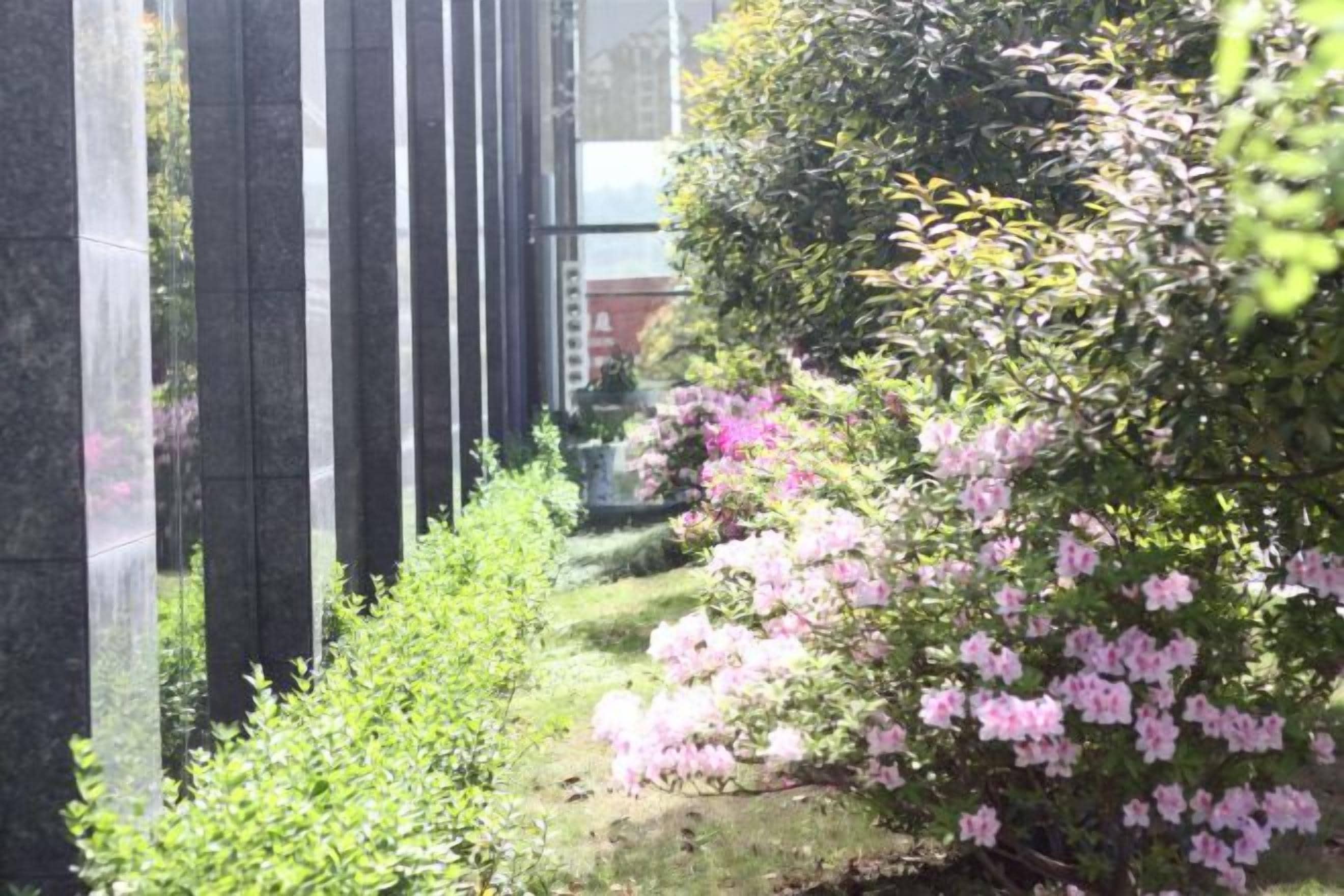 A garden with a stone pathway, flowering shrubs, and a building in the background.