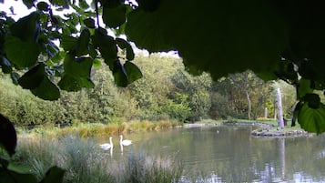 Boendeområde