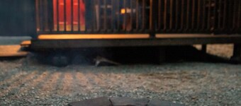 Welcome to Jack Pine Junior the ultimate retreat. Come and relax by the fire.